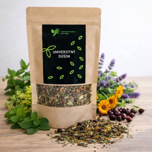 Bylinkový čaj Univerzitný dúšok
